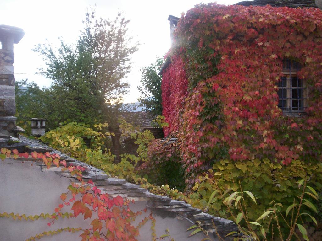Saxonis Houses & Saxonis Villa Pápingo Eksteriør bilde